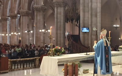 La diócesis de Mar del Plata peregrinó a la Basílica de Luján